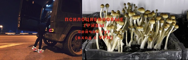 МДПВ Абинск