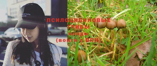 МДПВ Абинск