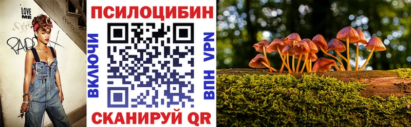 Галлюциногенные грибы Magic Shrooms  Ядрин 
